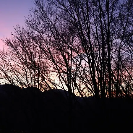 Apartamento Schubert