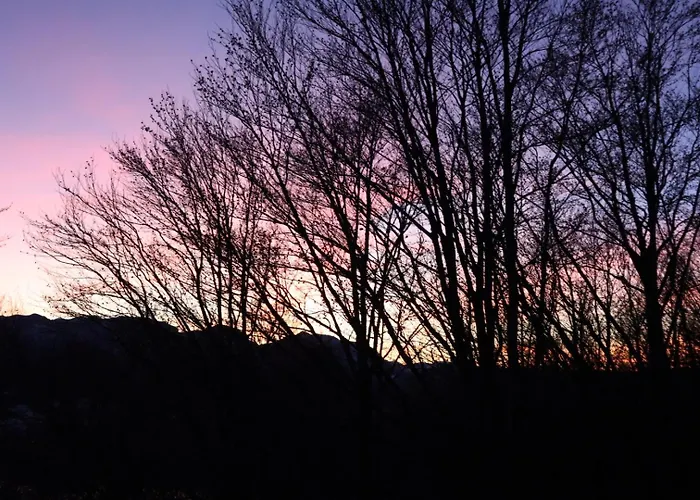 Διαμέρισμα Schubert