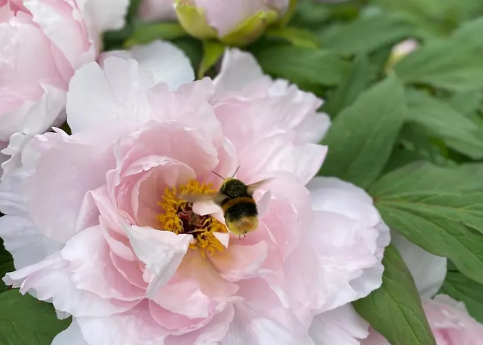 Διαμέρισμα Schubert Gmunden